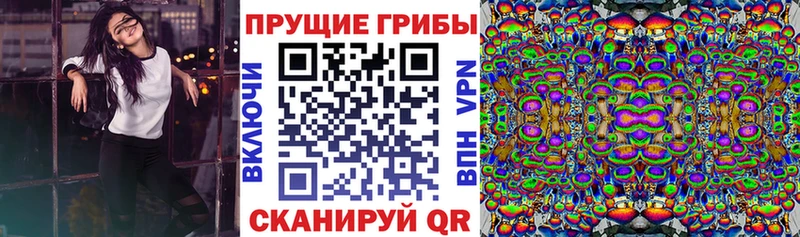 Галлюциногенные грибы Cubensis  магазин  наркотиков  Бодайбо 